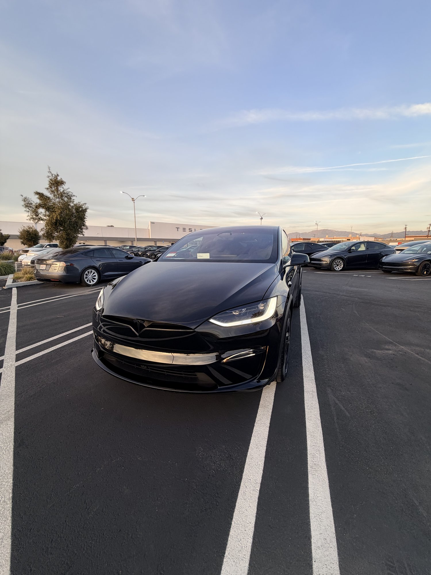 2026 Model X Plaid from a high angle on the hood, TESLOVE fleet photo